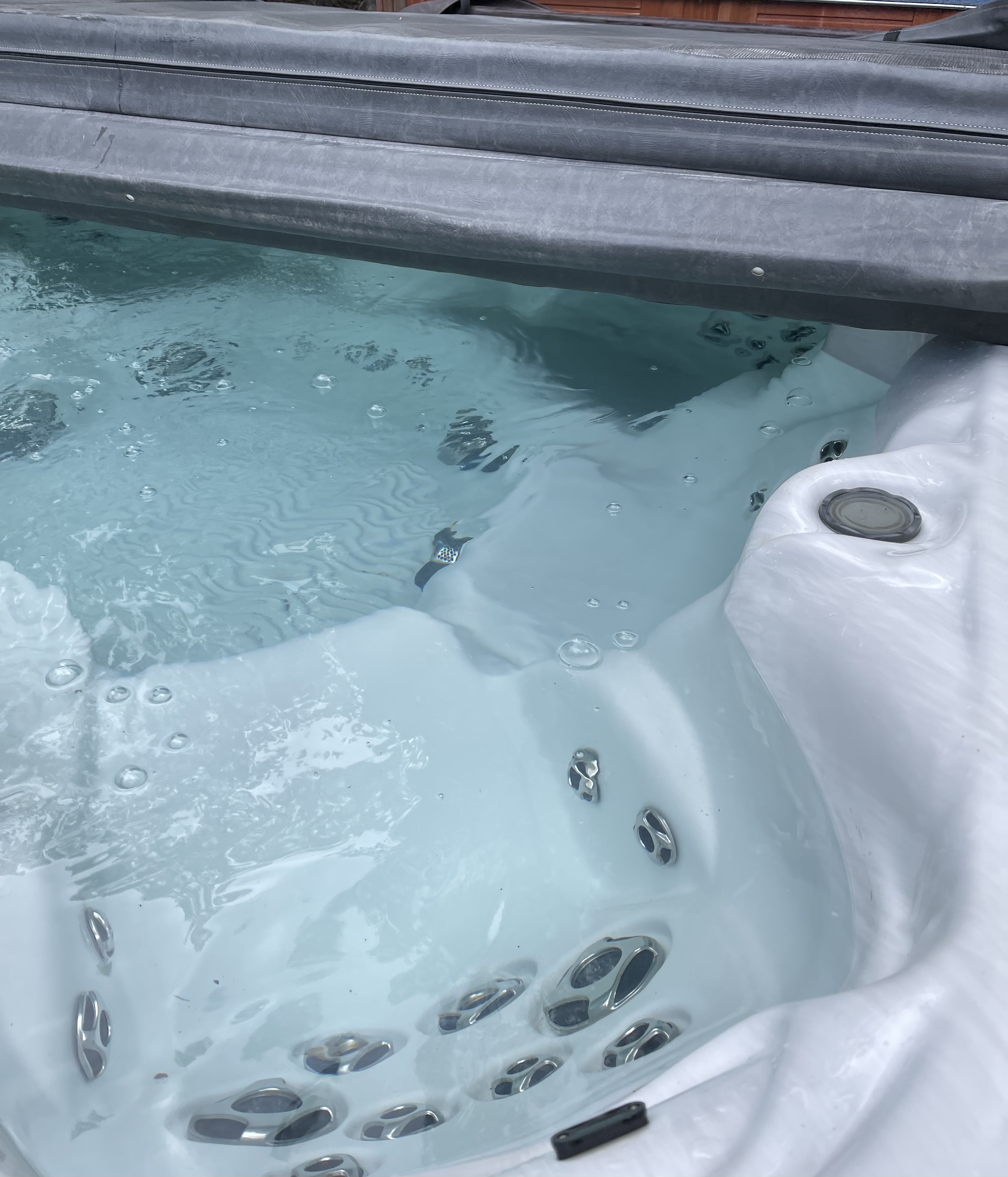 2016 Strong Spa Hot Tub Insider