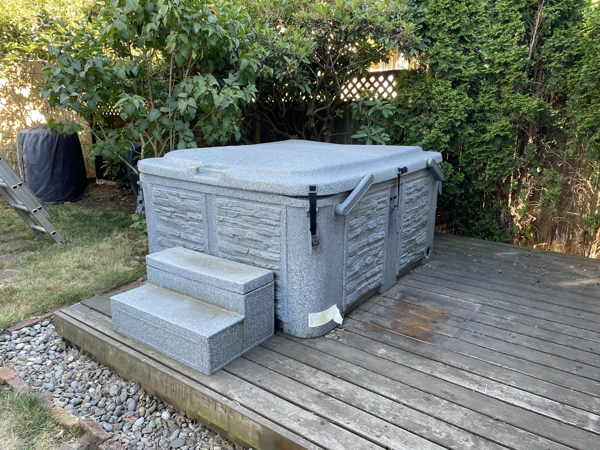 ECOSPA 4 Person Hot Tub - Hot Tub Insider